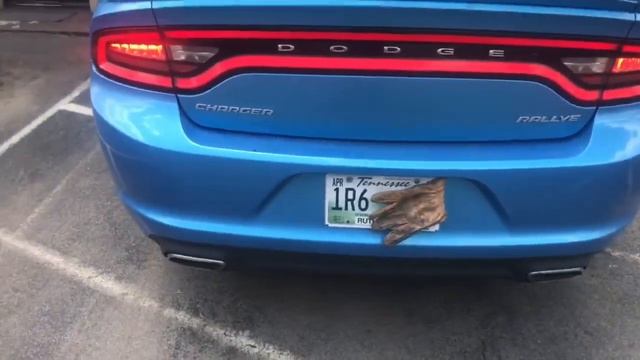2015 Dodge Charger 3.6L V6 DUAL EXHAUST w/ Resonator Delete & 40 Series Flowmasters!! смотреть онлайн