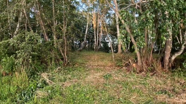 Осваиваем заброшенные острова Каслей смотреть онлайн