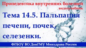 14.5. Пальпация печени, почек, селезенки.
