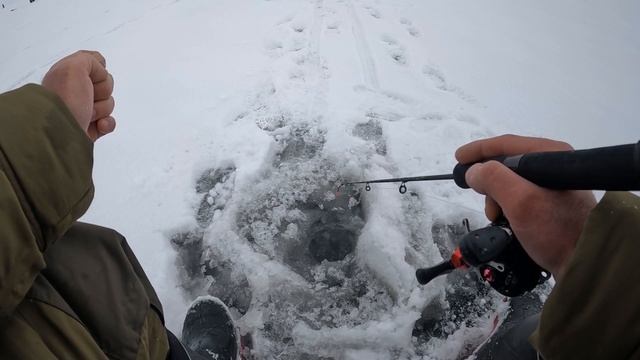 Рыбалка на Волге, Глазовая гора, на берша в потепление и падение давления, Алтынка с цепочкой смотреть онлайн