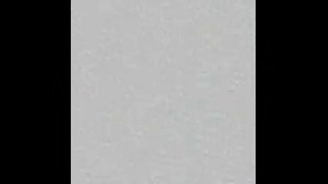 ЭТО ОН ПОКАЗЫВАЛ ПИСЮН!!