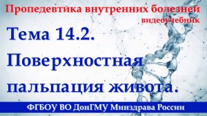 14.2. Поверхностная пальпация живота.