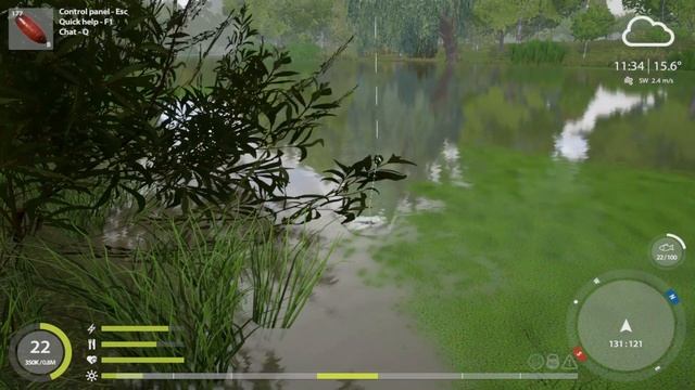 Russian Fishing 4 The Newest Spot for DACE Seversky Donets River смотреть онлайн