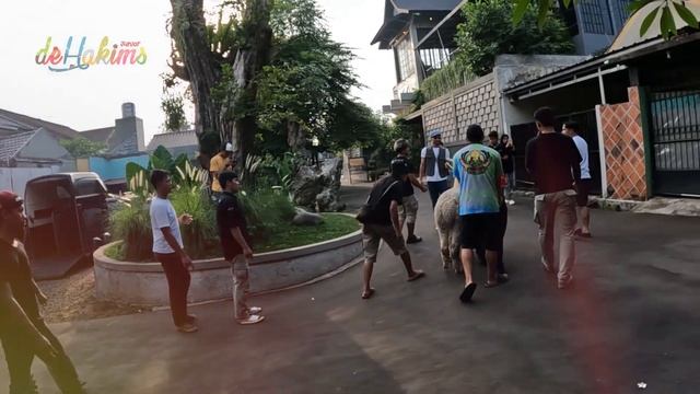JODOHNYA POKA DATENG GAES..!! KAKANG GAK SABAR LIAT EKSPRESI POKA..?! смотреть онлайн