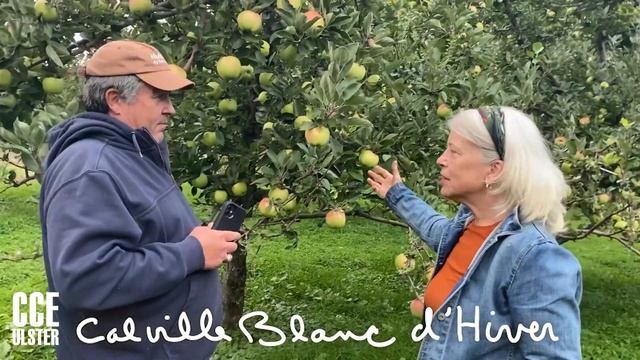 Growing Apples in the Hudson Valley on Wightman Farms смотреть онлайн