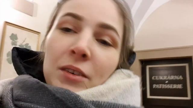 ВЛОГ: 7и дневная поездка в Чехию. Куда не стоить ходить смотреть онлайн