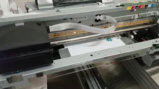 Acrorip смотреть онлайн