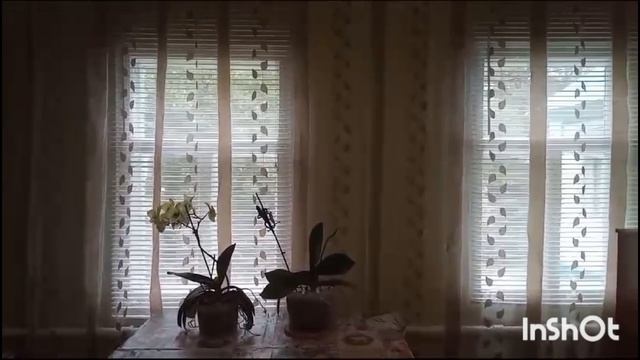 Жизнь в деревне - Хроника дня : Что новенького смотреть онлайн