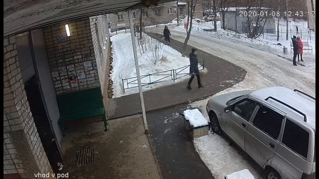 Школьники решили как свиньи пообедать смотреть онлайн