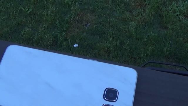 Evie Launcher Review | Fastest Android Launcher ?! смотреть онлайн