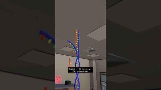 #shorts Урок Биологии VR Concept #биологияегэ #vreducation #урокбиологии смотреть онлайн