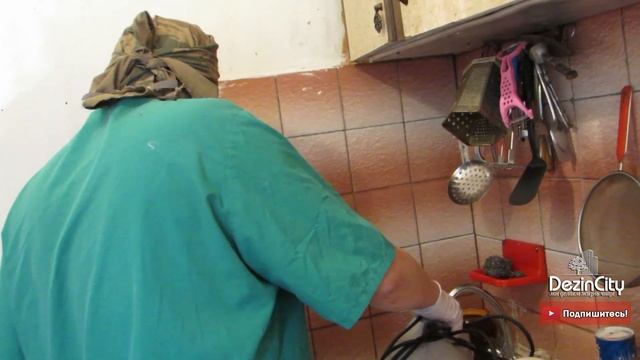 Уничтожение клопов в Мытищах: квартира, в которой, якобы, "клопов немного" смотреть онлайн