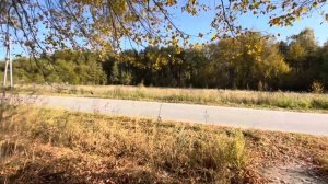 Воскресенск, Чемодурово сентябрь 2023. Осенняя прелюдия. Видео деревни в Подмосковье.