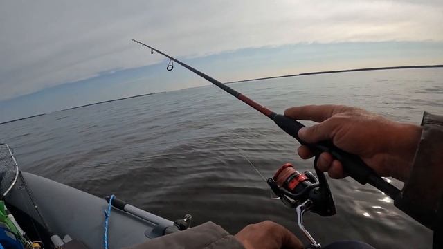 Рыбалка на лодке ПВХ и окунь на спиннинг смотреть онлайн