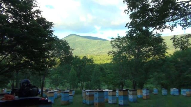 500+ Обработка от клеща муравьиной кислотой. смотреть онлайн