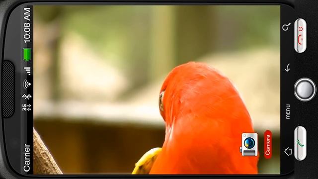 Wonderful Red Parrots Chatter Deluxe HD Edition 3D Live Wallpaper for Android смотреть онлайн