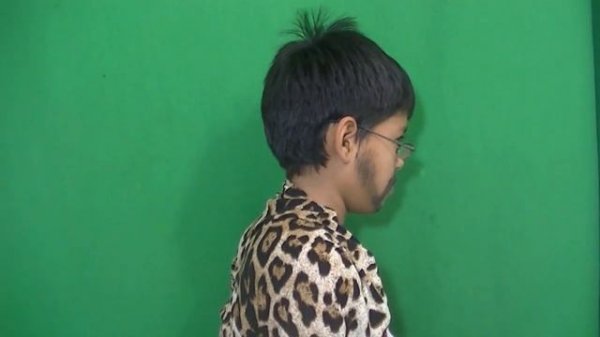 PPAP Pen Pineapple Apple Pen