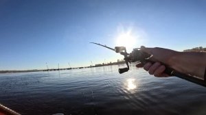 Удилище кастинговое Maximus ZIRCON-X BBC 25XH 2,5m 50-160g,загрука бланка 100 грамм.