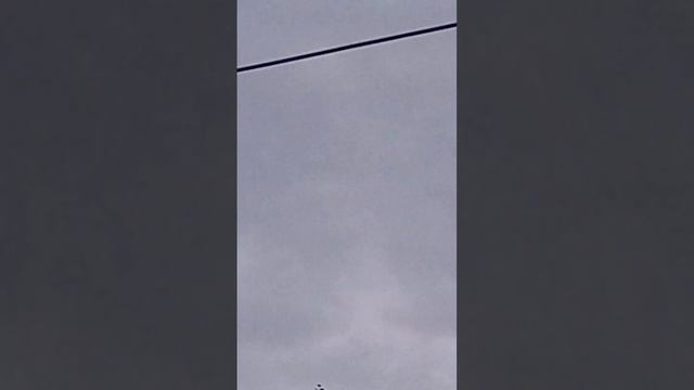 Голуби Ломова 22 07 23 смотреть онлайн