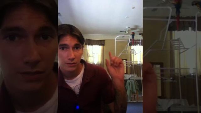 Q&A | Macaws | How do i keep my macaws quiet? смотреть онлайн