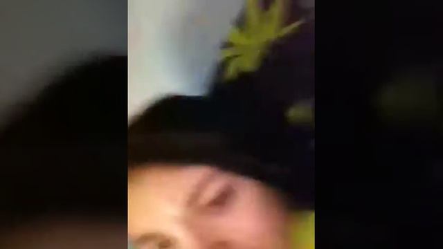 My dog fell out the window! смотреть онлайн