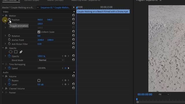 Effects Control Keyframes Sequence - Adobe Premiere Pro CC Hindi Masterclass 2020 EP02 смотреть онлайн