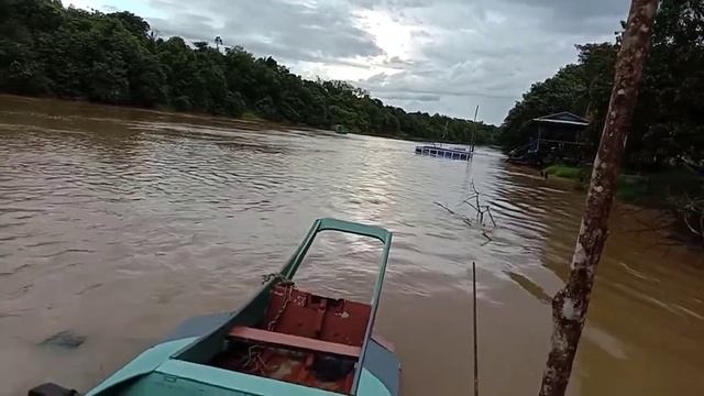 Suzuki 2.2poly boat смотреть онлайн