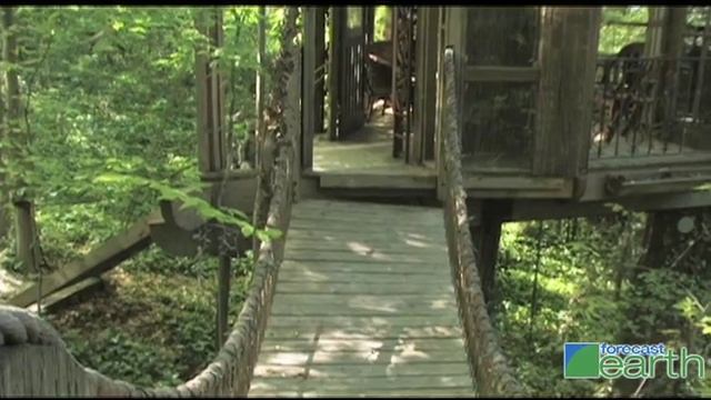 Tree House Living (For Adults) смотреть онлайн