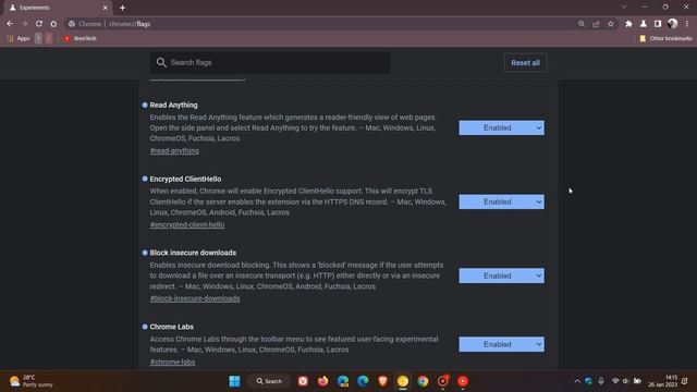 Chrome Canary: Experimental flags I have enabled смотреть онлайн