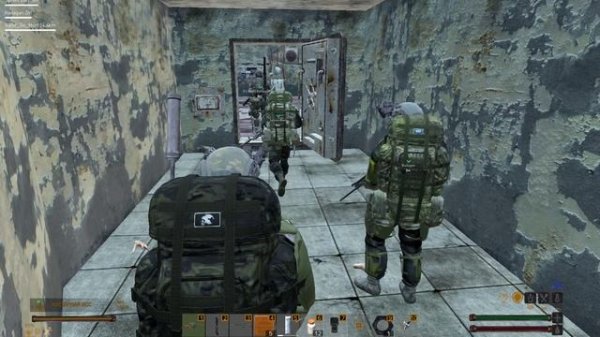 Бльшая лаба, фризы