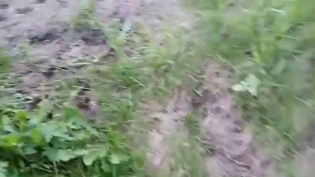 Мои будни . Любимое вязание и платье для внученьки- ЗОЛОТАЯ ОСЕНЬ . смотреть онлайн