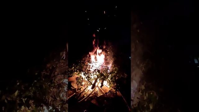 костёр #вирусноевидео #рыбалка #озеро смотреть онлайн