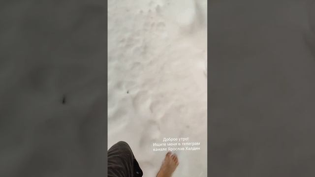 Утро начинается не с кофе а с ханом, зарядка! Собака всегда рада мне! смотреть онлайн