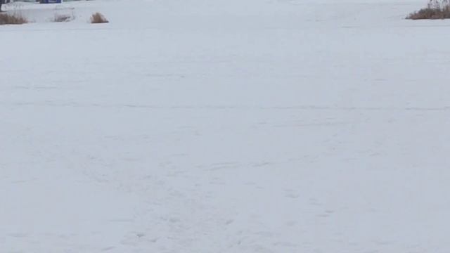 Выход на лёд запрещён! Но кого это останавливает? #мысливслух смотреть онлайн