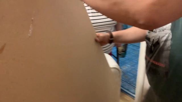 Что делать, если заметили клопов в квартире