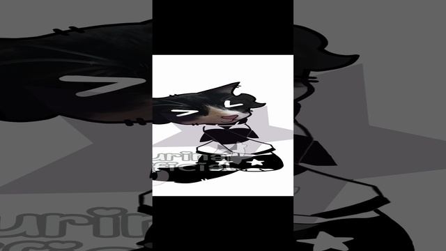 Анимация // Мой котик // Alightmotion смотреть онлайн