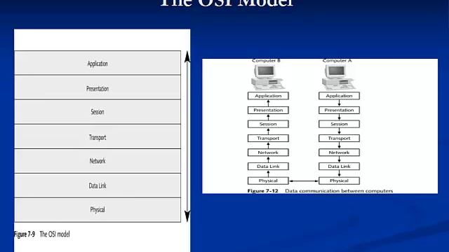 Module 7 Data Networking Fundamentals смотреть онлайн