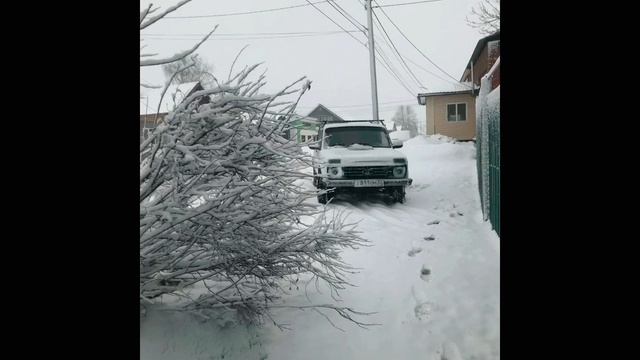 Год реставрации Нива Пикап 2329 2004 г.в. смотреть онлайн