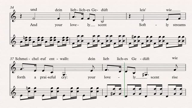 Schubert - Viola - for voice and guitar смотреть онлайн