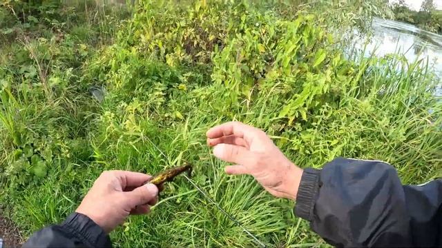 Рыбалка на спиннинг. Вытащил чей то воблер, который пролежал под водой лет сто. смотреть онлайн