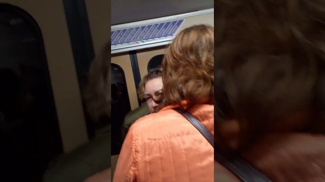 Поездка на Минском Метрополитене Уручье-Малиновка (Московская линия) 2938 81-717.5М (МВМ) смотреть онлайн