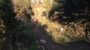 выезды тренировки Юрьев-Польский(старая трасса СТК Победа)Кольчугино(Запятая СТК Спорт-Экстрим)