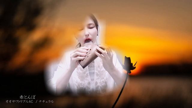 赤とんぼ(Arranged)//オカリナとピアノ//Yamada Kosaku//Ocarina//Piano//Japanese song// смотреть онлайн