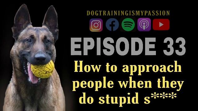 How to approach dog owners when they do stupid s*** смотреть онлайн