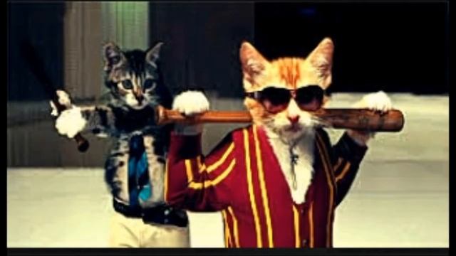 MELHORES WALLPAPERS GANGSTER смотреть онлайн
