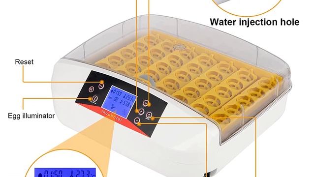Top 5 Best Egg Incubator in 2023 смотреть онлайн