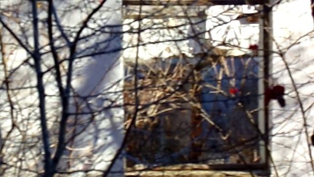 100_0032 смотреть онлайн