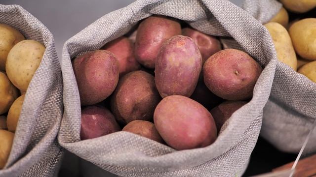 DokaGene выставка "ЮгАгро 2021". День 2-й. Устами наших партнеров смотреть онлайн