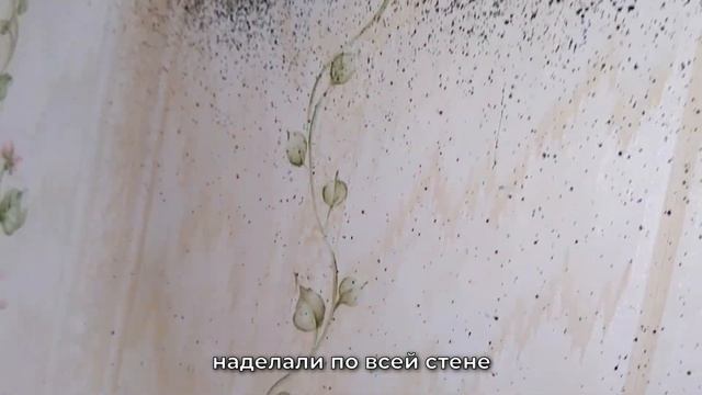 Где еще можно и нужно искать гнезда клопов в квартире, или клоповьи "острова" не на кровати. смотреть онлайн