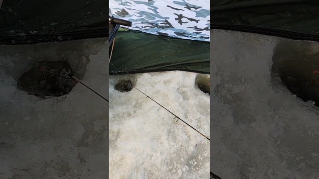 Рыбалка на Волге на Берша в -25 смотреть онлайн